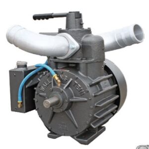 Wallenstein Pumps