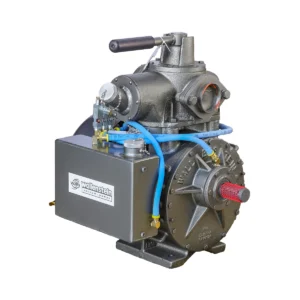 Wallenstein Pumps